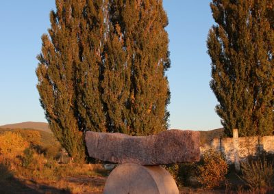 IMG_3561