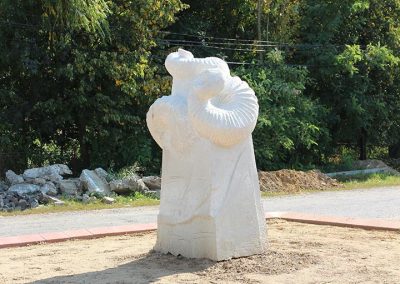 Photo49