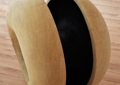 organic-wheel