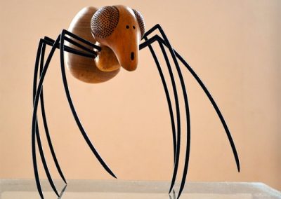 spider