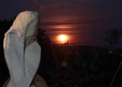 photo15